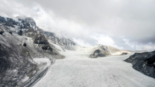 Neuer Nationalpark in Chile soll Gletscher vor Klimafolgen schützen