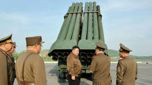 Pyongyang to deploy new multiple rocket launcher this year: KCNA