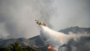 Avi&atilde;o que combatia inc&ecirc;ndios cai na Gr&eacute;cia