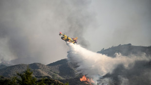 Avião que combatia incêndios cai na Grécia
