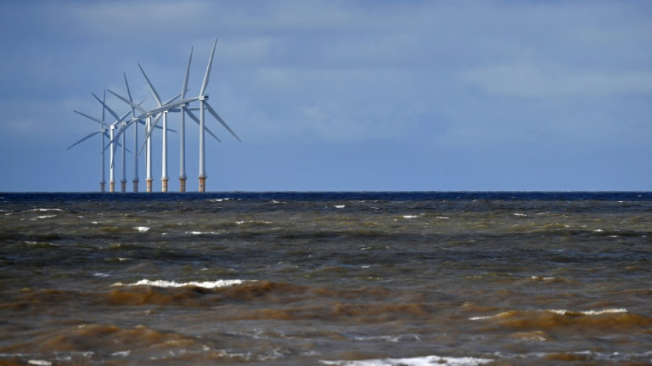 Habeck setzt auf koordinierten Ausbau der Offshore-Windenergie in Europa