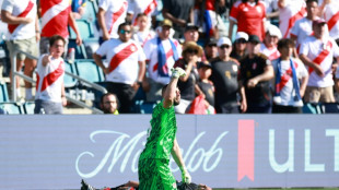 Auxiliar desmaia em jogo Peru-Canad&aacute; pela Copa Am&eacute;rica