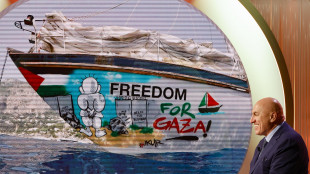 Flotilla, 'l'Italia ci vuole sabotare'