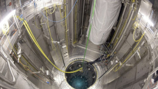 Hundert Kubikmeter radioaktive K&uuml;hlfl&uuml;ssigkeit aus Akw in Finnland ausgetreten