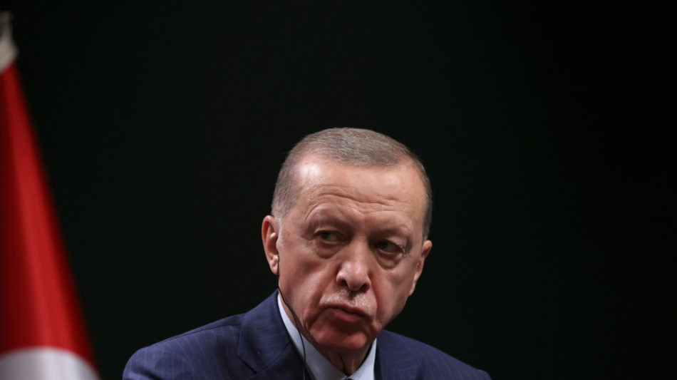 DFB: Kein Erdogan-Besuch bei L&auml;nderspiel gegen die T&uuml;rkei