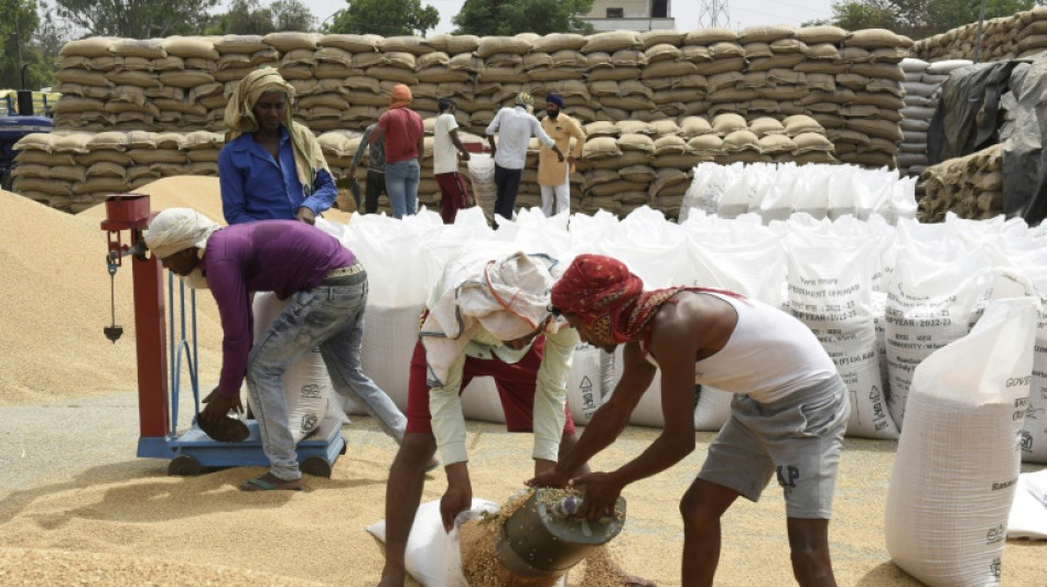 L'Inde interdit les exportations de blé, le G7 s'alarme d'une aggravation de la crise