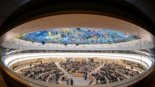 Westliche Staaten rufen zu Ablehnung von Resolution gegen "religi&ouml;sen Hass" auf