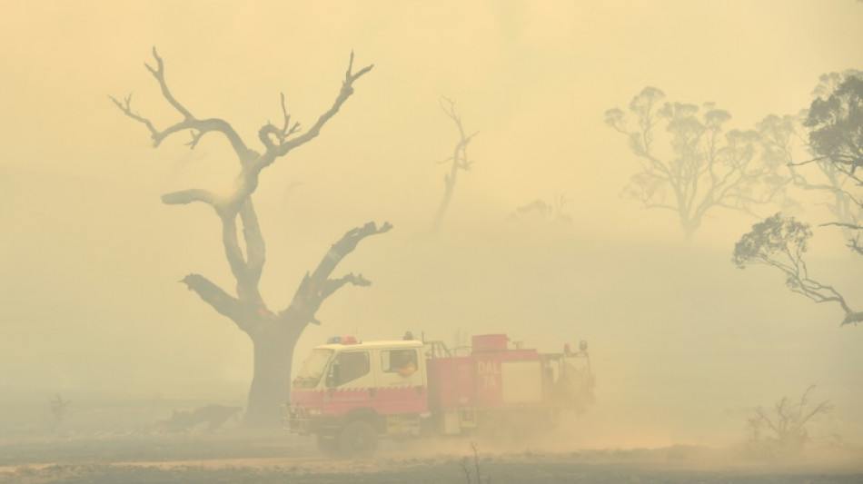 La couche d'ozone d&eacute;grad&eacute;e par les feux de brousse en Australie de 2019 et 2020