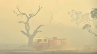 La couche d'ozone d&eacute;grad&eacute;e par les feux de brousse en Australie de 2019 et 2020