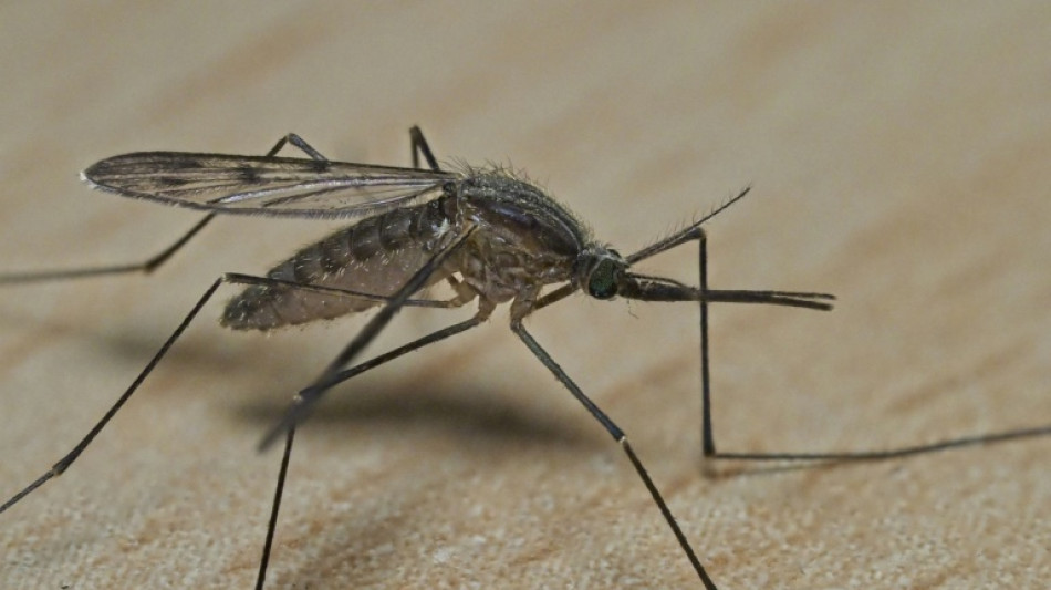 RKI: Saison für durch Mücken übertragene Krankheitserreger beginnt