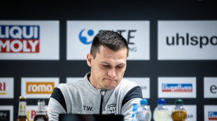 Medien: Ulm trennt sich von Aufstiegstrainer W&ouml;rle