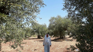 En Jordanie, sauver les oliviers mill&eacute;naires