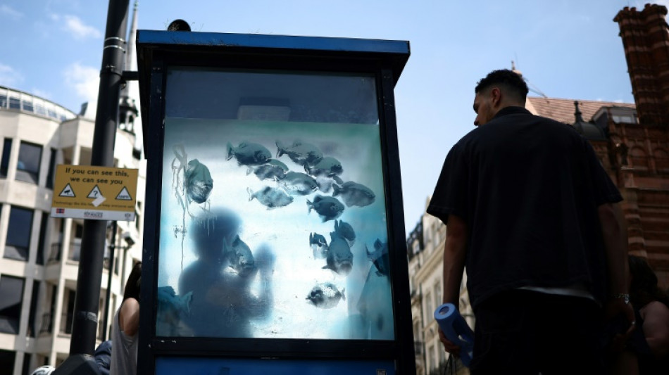 Banksy cierra con pira&ntilde;as una semana que convirti&oacute; a Londres en un zoo de grafitis