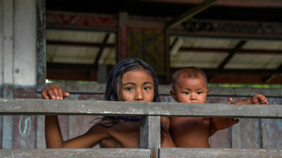 Brasil legaliza tres nuevas reservas ind&iacute;genas