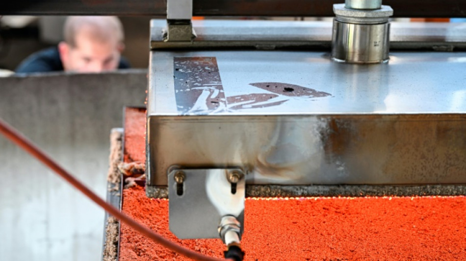 Contre les "zombies", des experts du feu à la rescousse des pompiers