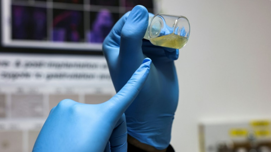 &iquest;Embriones sint&eacute;ticos? Una perspectiva lejana, pero creciente