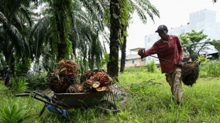 Malaysia erhöht als Reaktion auf Restriktionen der EU Palmölexporte nach China