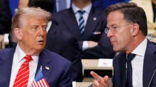 'Papai': Rutte usa elogio sem precedentes para se referir a Trump
