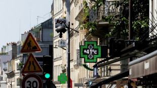 La canicule atteint son pic, Paris et une partie de la France suffoquent