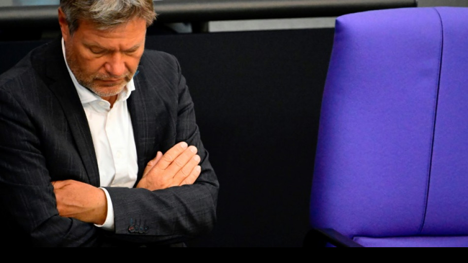 Les Verts allemands veulent que l'UE revoie sa copie sur la r&eacute;forme de l'asile