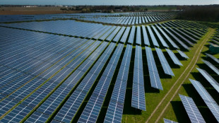 Großes Interesse an Ausschreibung für Solaranlagen - Habeck: Stromkosten sinken