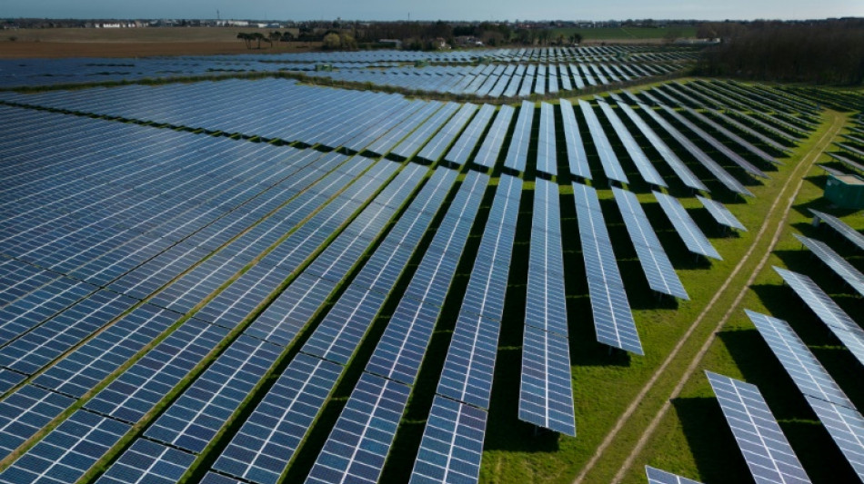 Photovoltaik: Mehr Freiflächen vorhanden als benötigt