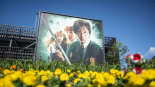 Copias realistas de espadas de Harry Potter son retiradas en Jap&oacute;n