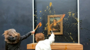 Ambientalistas que jogaram sopa na 'Mona Lisa' podem pagar uma 'contribuição cidadã'