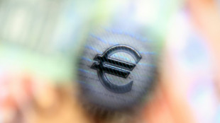 Staatliche Pro-Kopf-Verschuldung in Deutschland auf mehr als 30.000 Euro gestiegen