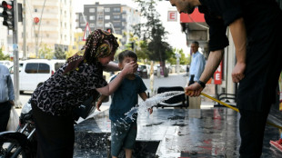 M&aacute;s de 50 &ordm;C en Turqu&iacute;a: "nadie puede acostumbrarse a un calor as&iacute;"