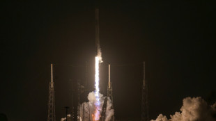 International crew en route to space station