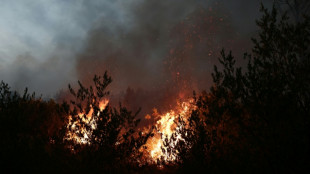 Neuer Waldbrand in S&uuml;dfrankreich: Mehr als 200 Feuerwehrleute im Einsatz
