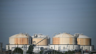 Greenpeace kritisiert LNG-Pläne der Bundesregierung als überdimensioniert
