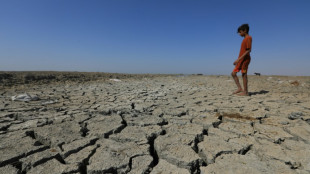 Wissenschaftler warnen vor zu schneller Erderwärmung
