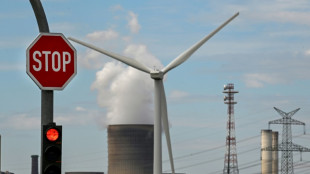 El gigante energ&eacute;tico alem&aacute;n RWE cerrar&aacute; sus plantas de carb&oacute;n para 2030