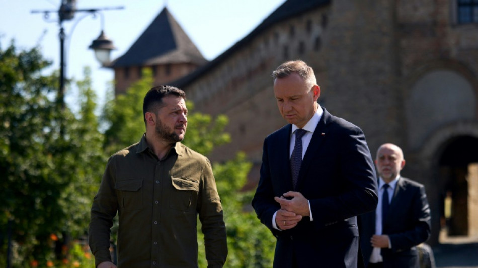 Presidente polaco viaja a Ucrania en v&iacute;speras de cumbre de la OTAN