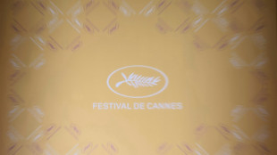 Llamamiento a la huelga de un colectivo de trabajadores del Festival de Cannes
