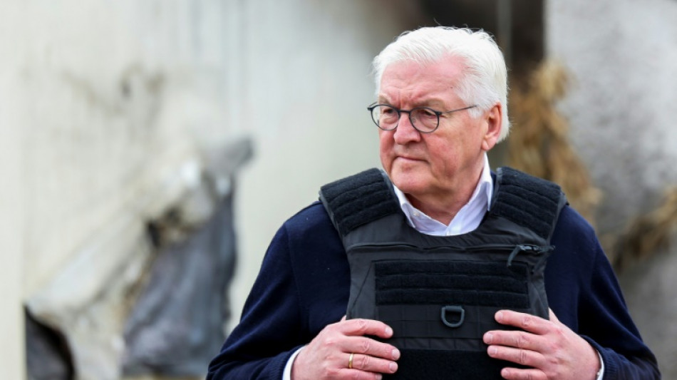 Bundespr&auml;sident Steinmeier trifft in Doha den Emir von Katar