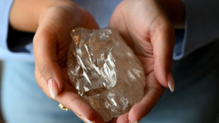 Museum or sheikh? World's second largest diamond awaits home