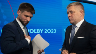 Slovaks head to tight polls mulling Ukraine aid