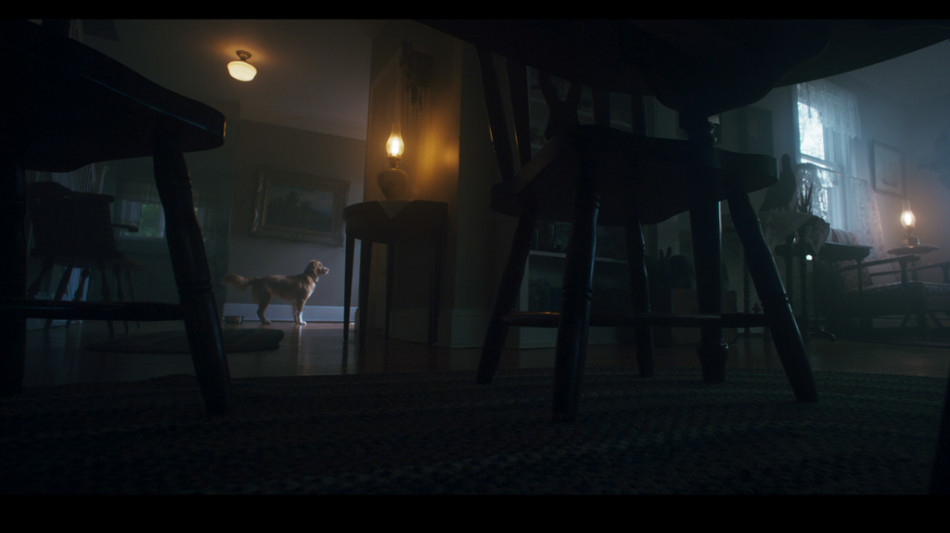 Alice nella Citt&agrave;, apre Good Boy di Ben Leonberg