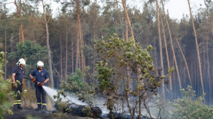 Woidke schließt weitere Evakuierungen in Brandenburg wegen Waldbränden nicht aus
