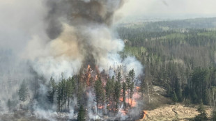 Feux de for&ecirc;ts: des rejets dans l'atmosph&egrave;re particuli&egrave;rement &eacute;lev&eacute;s depuis le d&eacute;but de l'&eacute;t&eacute;