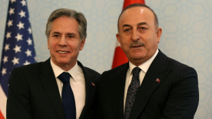 Blinken bekr&auml;ftigt Bereitschaft zur Lieferung von F-16-Kampfjets an die T&uuml;rkei