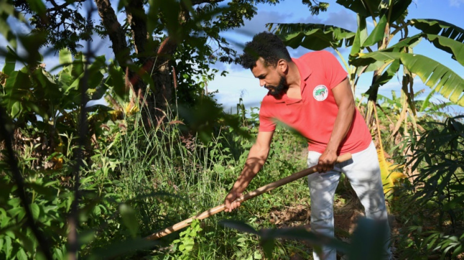 Sans-terre contre agron&eacute;goce, tensions rurales dans le Br&eacute;sil de Lula