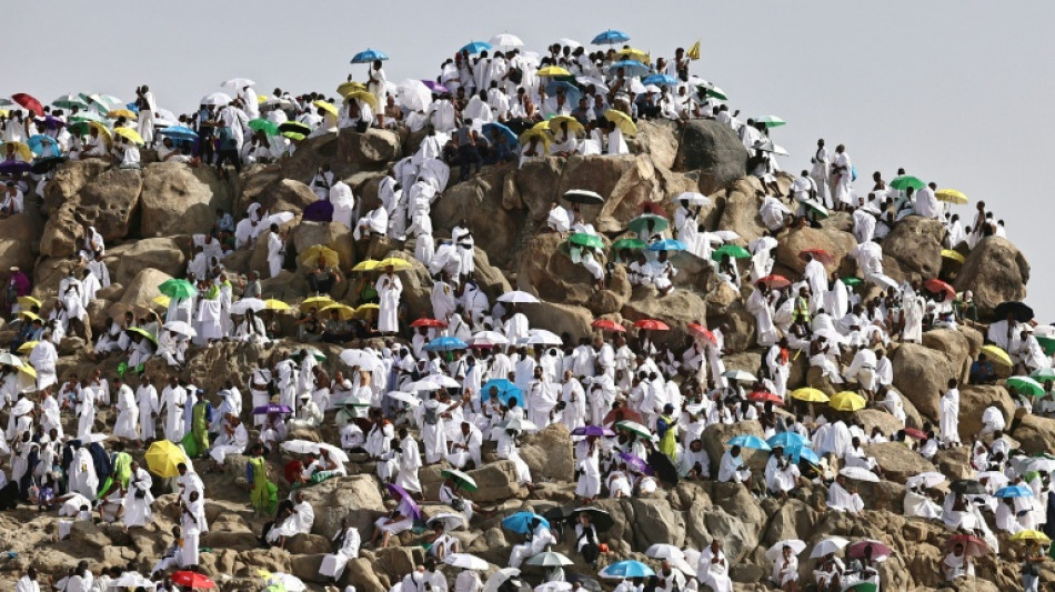 Pilgrims pray on Mount Arafat as hajj reaches peak
