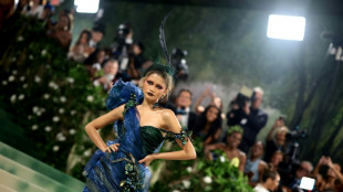 Hummingbirds and hooves take over the red carpet at Met Gala