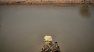 Mali: l'arm&eacute;e dit avoir tu&eacute; "203 combattants" dans une op&eacute;ration au Sahel