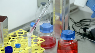 Nasce Xenturion la biobanca di organoidi pi&ugrave; grande del mondo