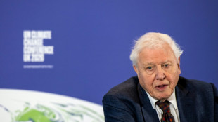 David Attenborough lanza a sus 99 a&ntilde;os un nuevo filme en el que urge a salvar los oc&eacute;anos